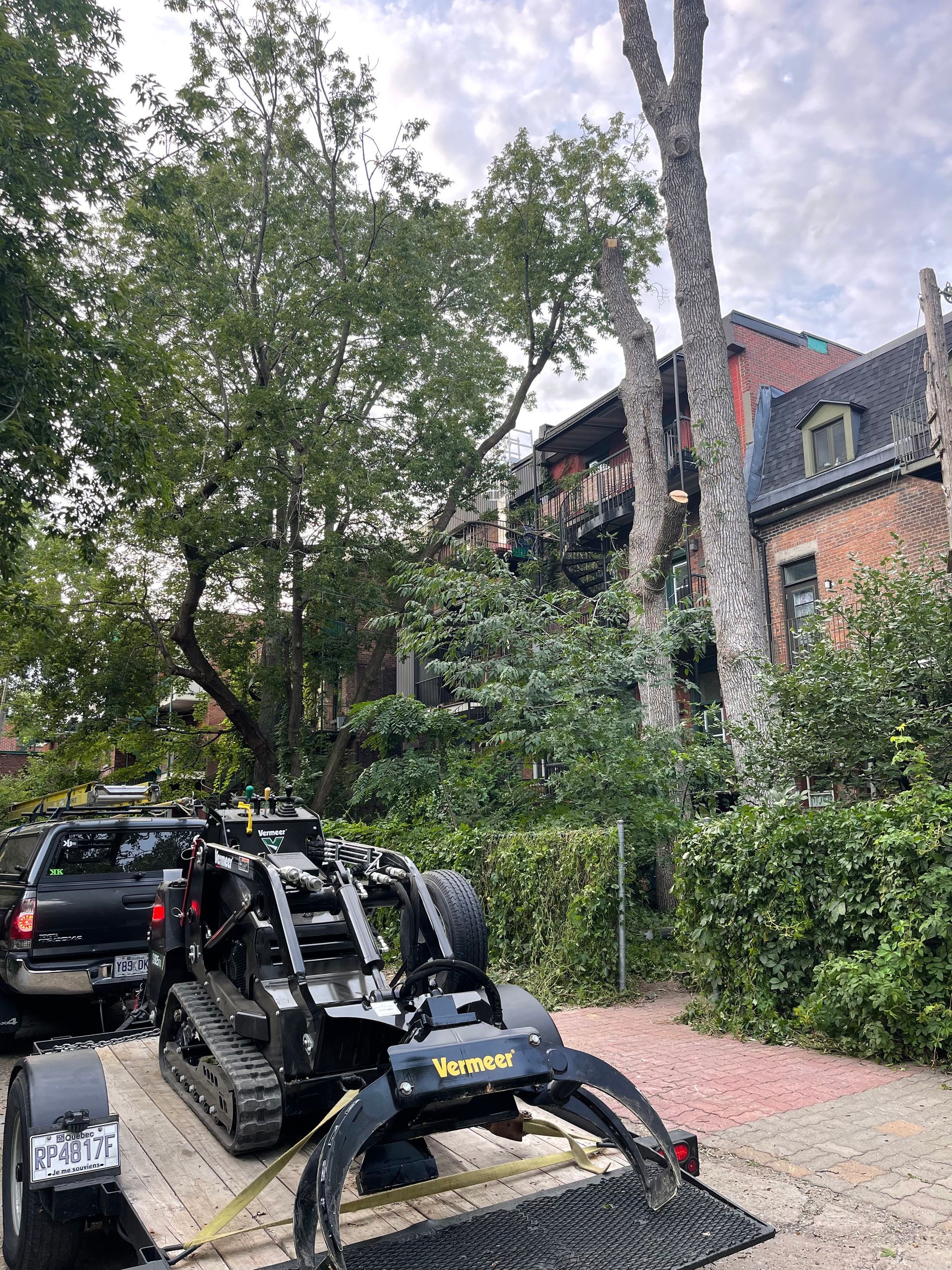 Une machine est assise sur une remorque à côté d'un arbre.
