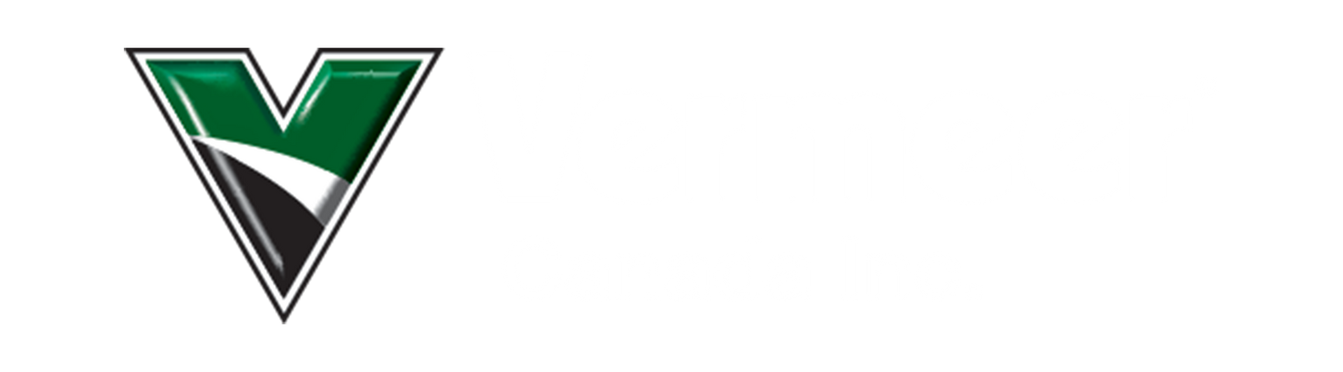 Une lettre v verte et noire sur fond blanc.