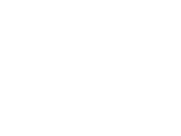 Paradise Homes Logo