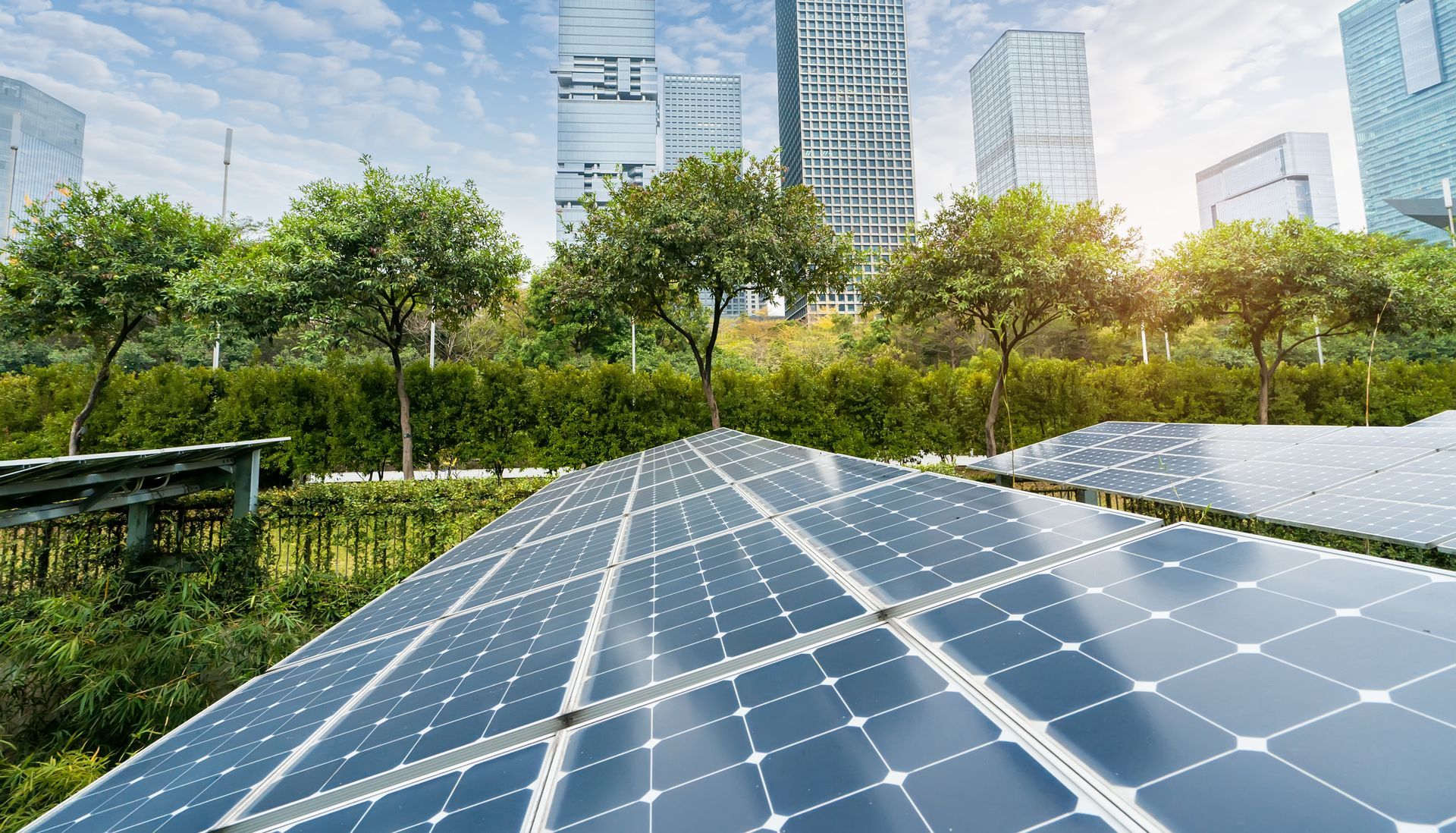 A row of solar panels in a park with a city in the background.