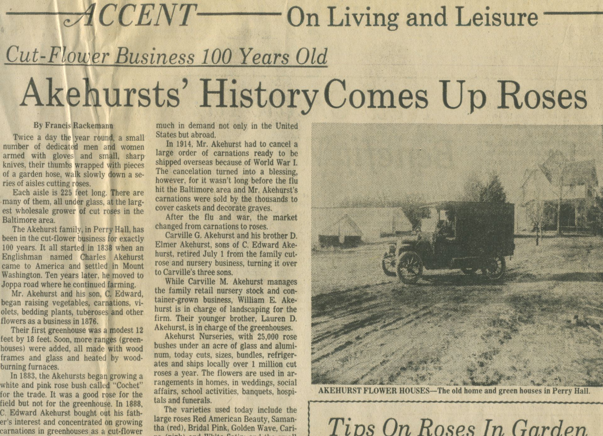 newspaper clipping of Company history as rose gardeners (part 1.)