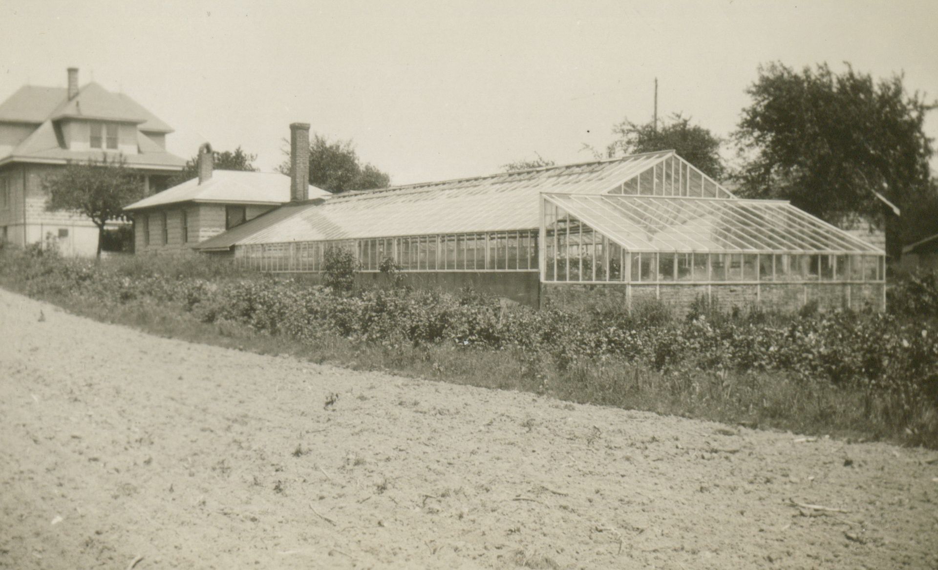 greenhouse under glass