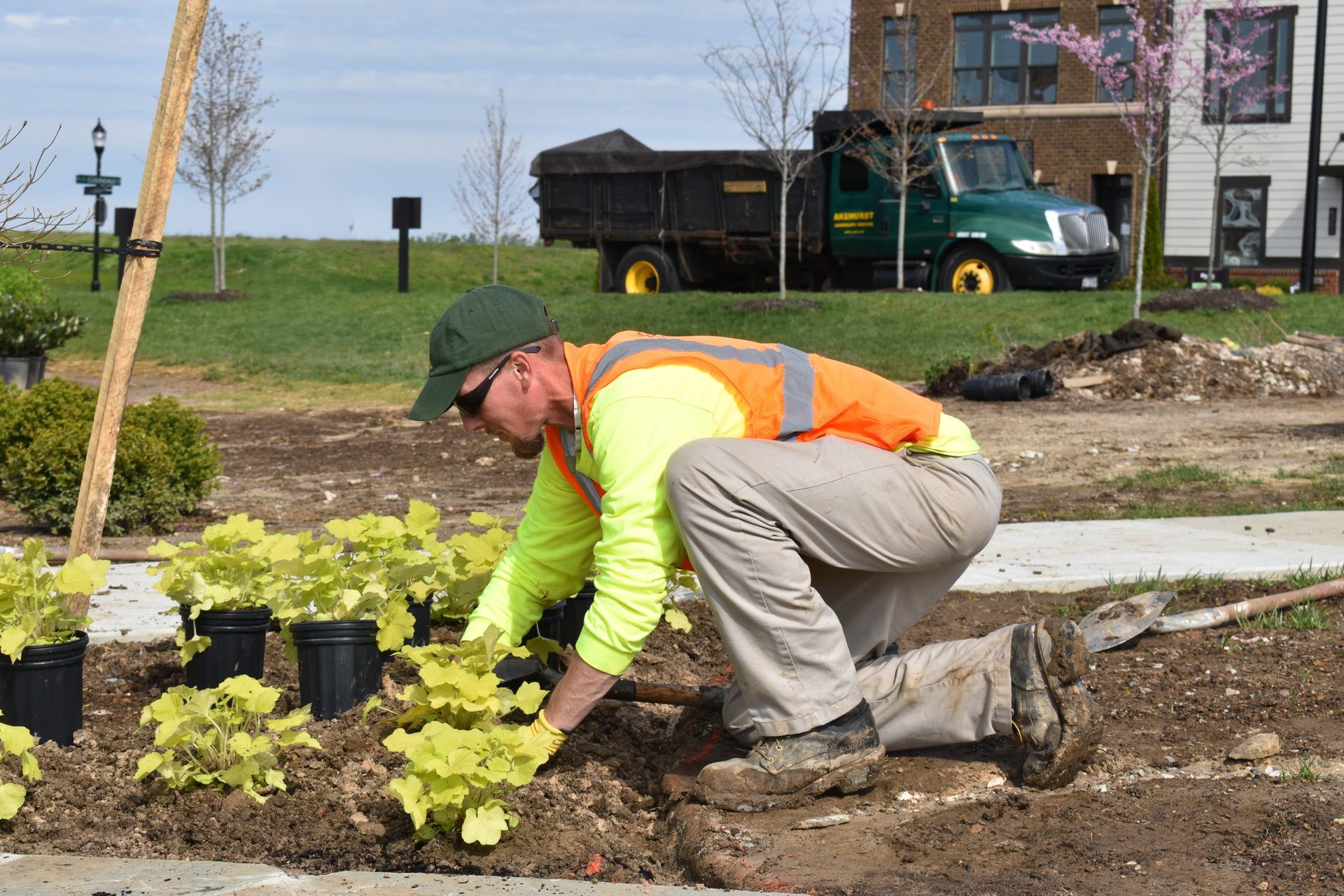 Man planting greenery.