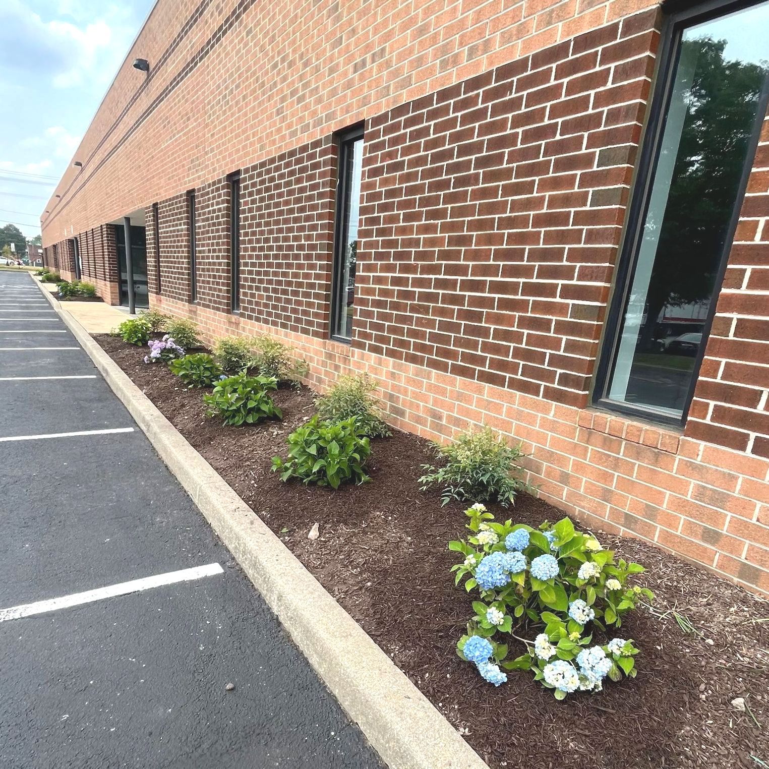 A man and a woman are measuring bricks in a garden.