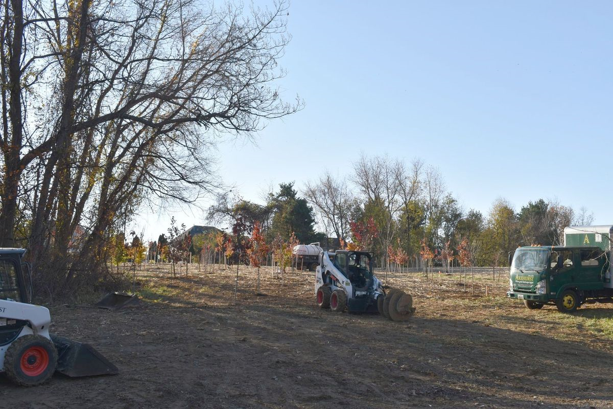 A bulldozer is moving dirt in a field with trees in the background.