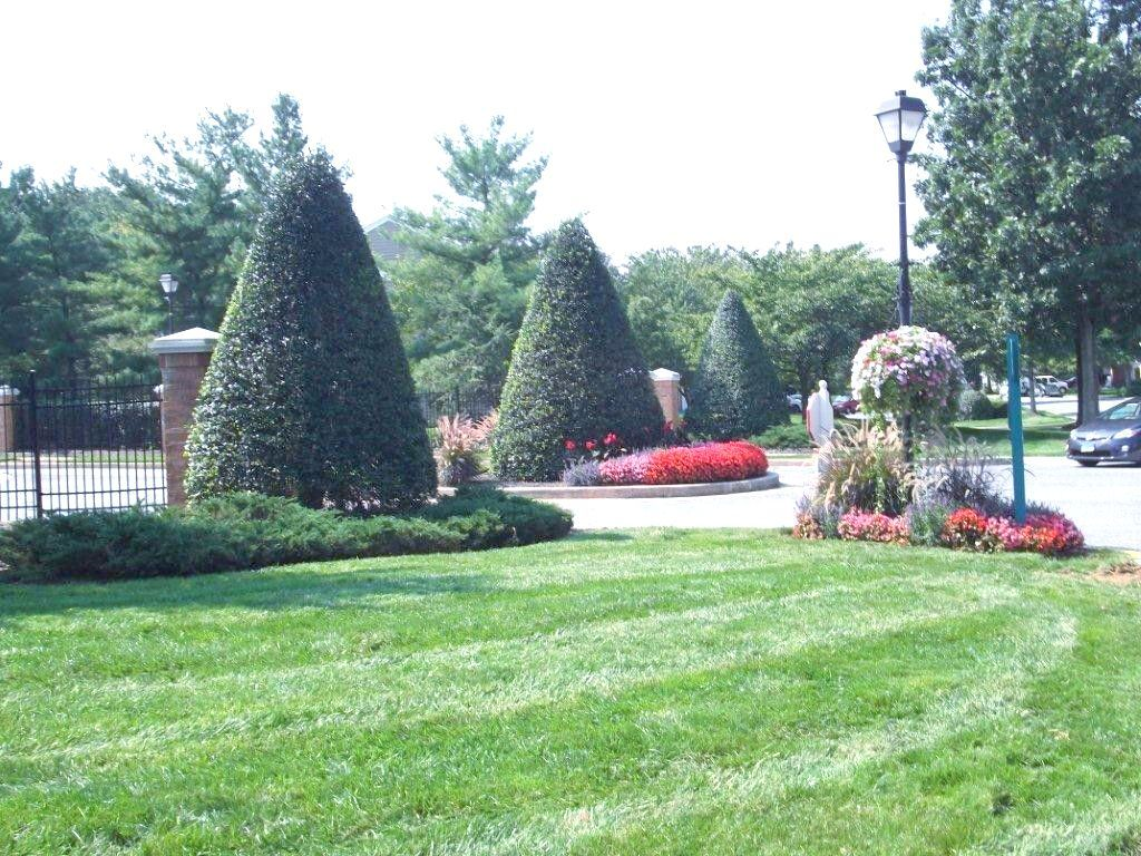 A lush green lawn is surrounded by trees and flowers