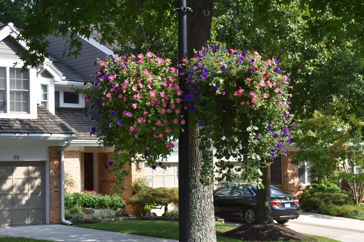 A house with a car parked in front of it