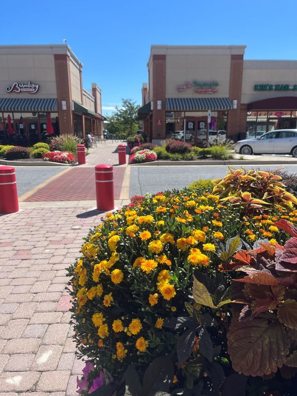 A bunch of yellow flowers are in front of a store