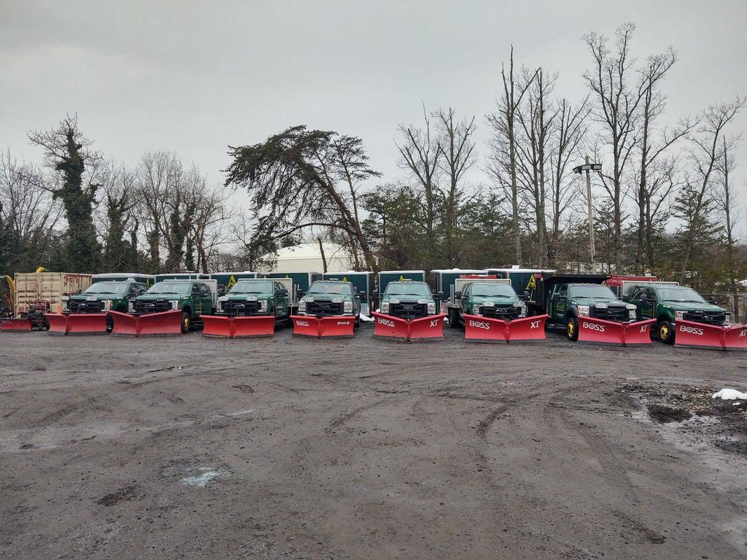 A row of snow plows are parked in a parking lot.