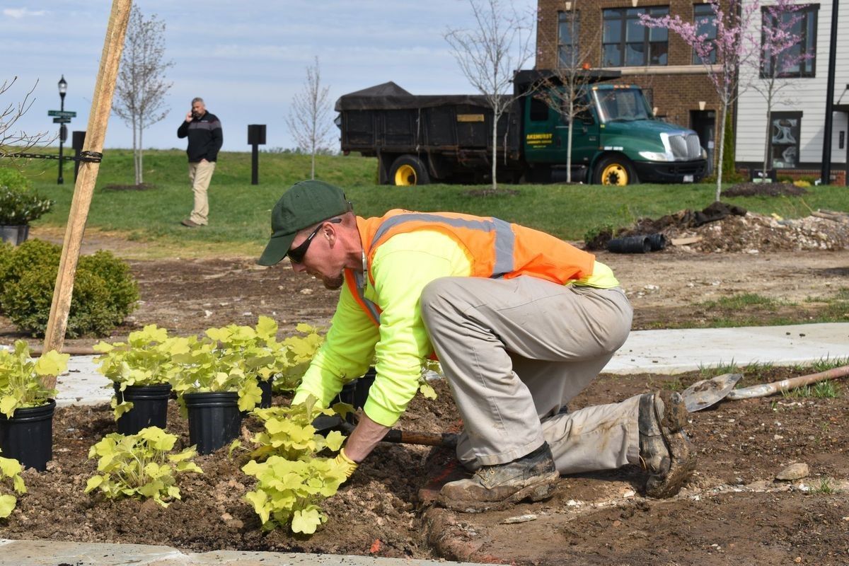 A man is kneeling down in the dirt planting plants in a garden.