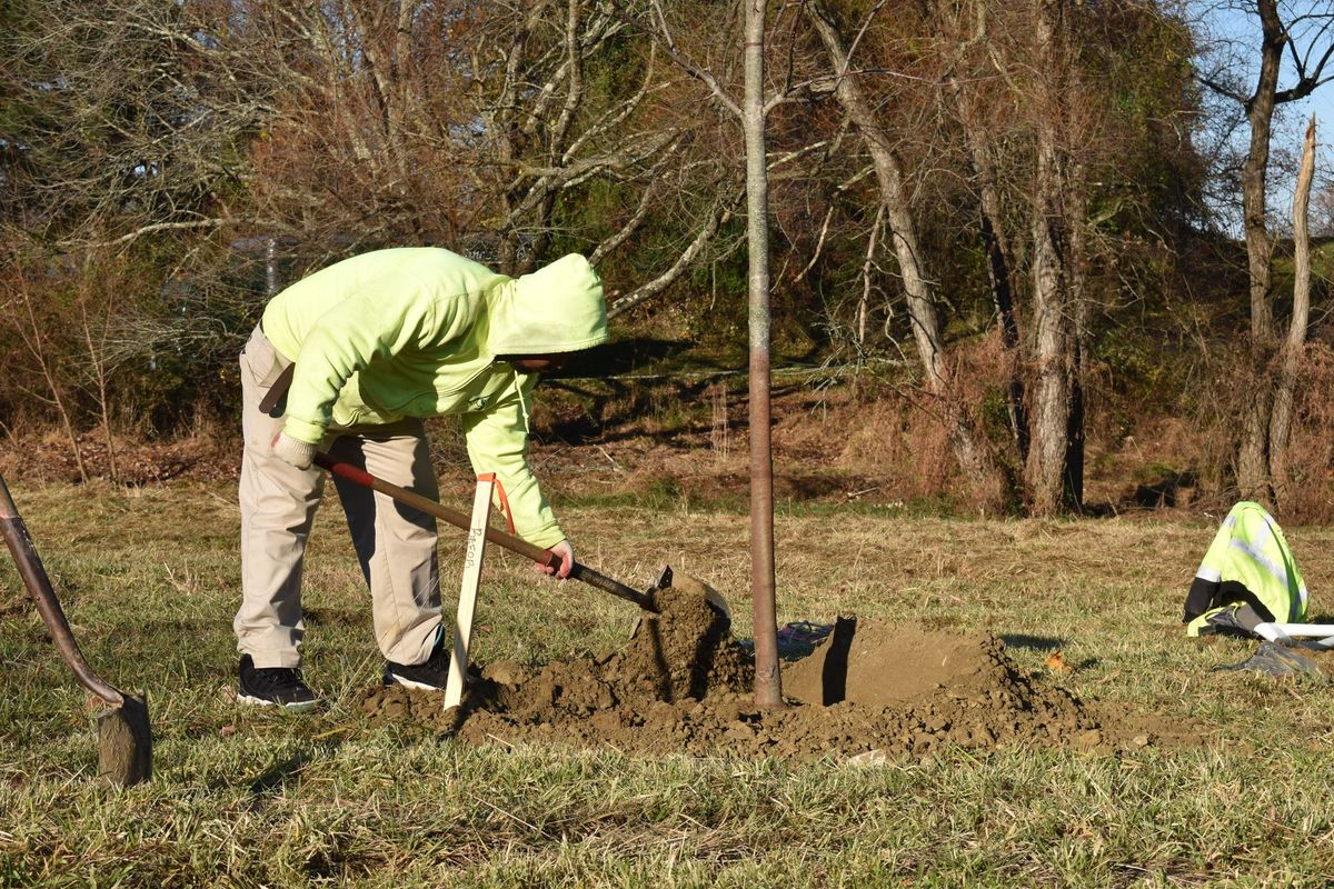 A man is digging a hole in the ground with a shovel.
