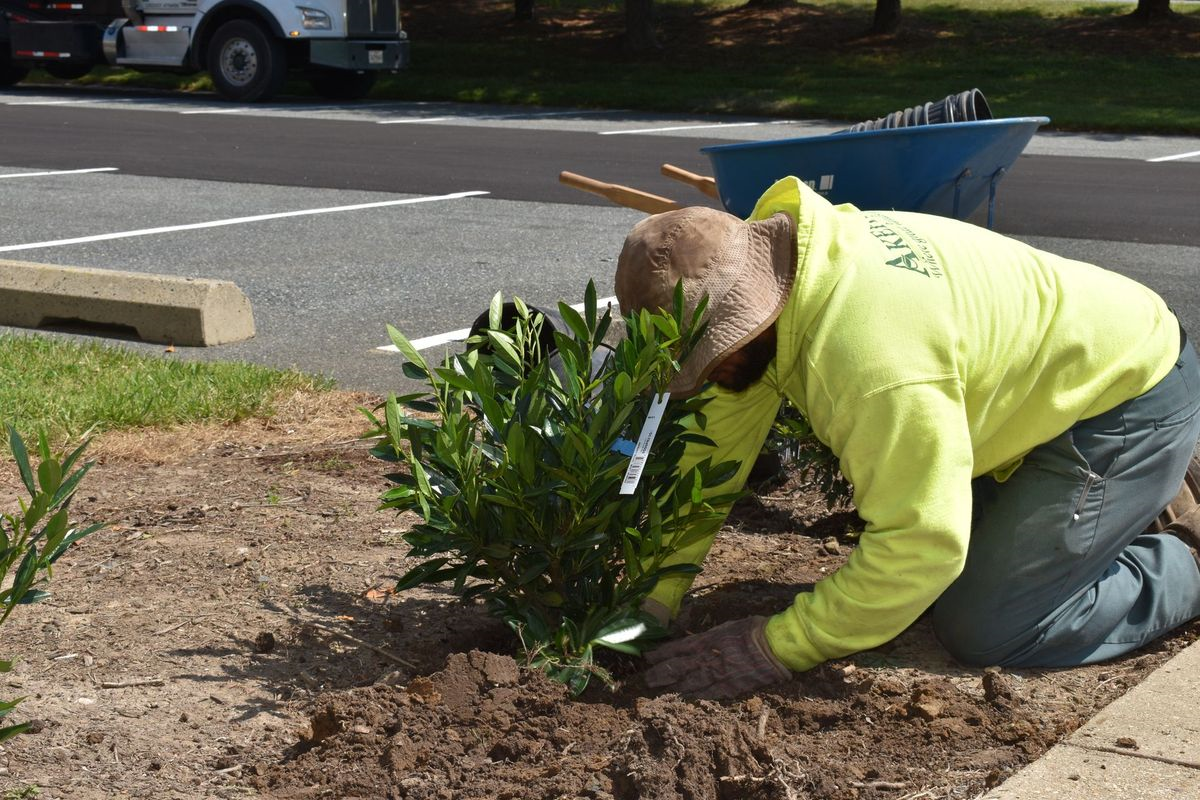 A man is kneeling down to plant a plant in a garden.