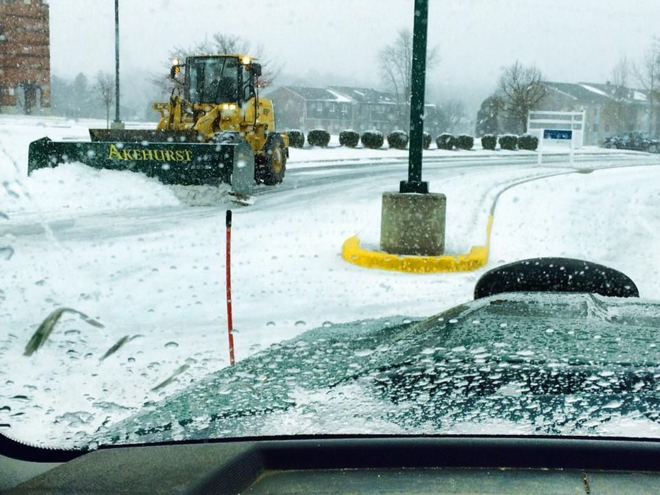 A person is cleaning snow from a tree with a brush