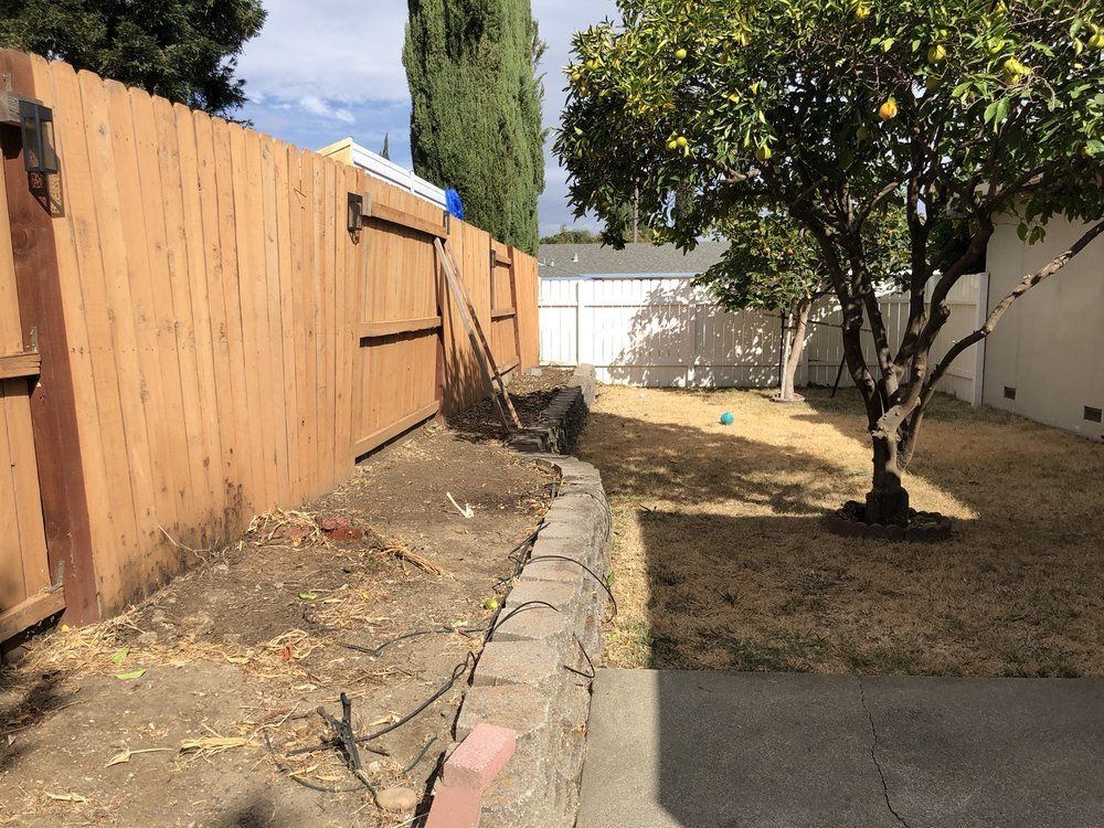 Tree Company Vacaville, CA Affordable Arborists