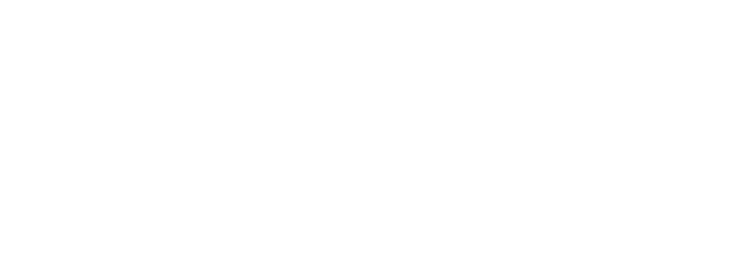 Logo for Fidelra, 
