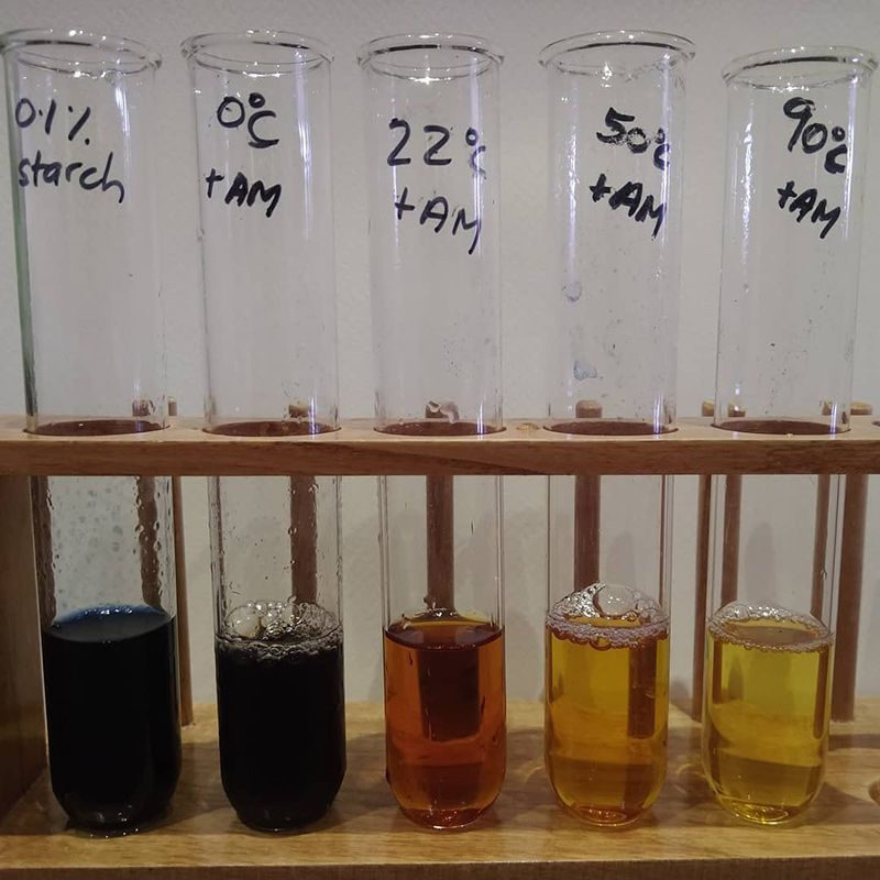 A Row of Test Tubes Filled With Different Colored Liquids on a Wooden Shelf — The Molecule Mentor in Lorn, NSW