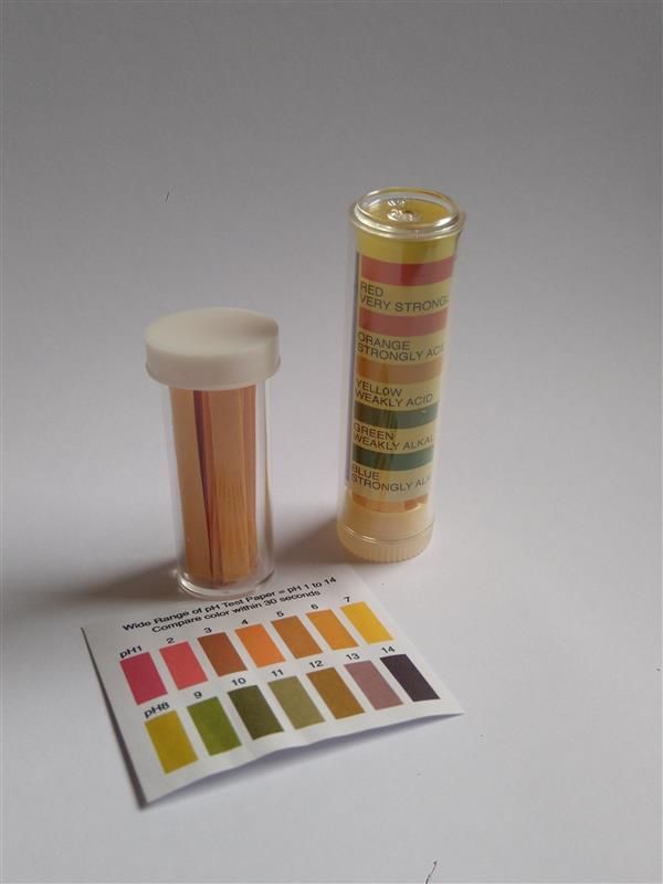 A Woman is Teaching a Young Girl How to Use a Tablet Computer — The Molecule Mentor in Lorn, NSW