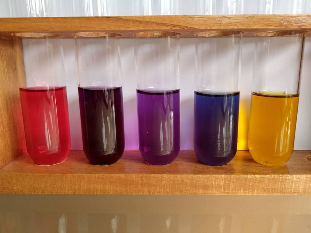 A Row of Test Tubes With Different Colored Liquids — The Molecule Mentor in Lorn, NSW