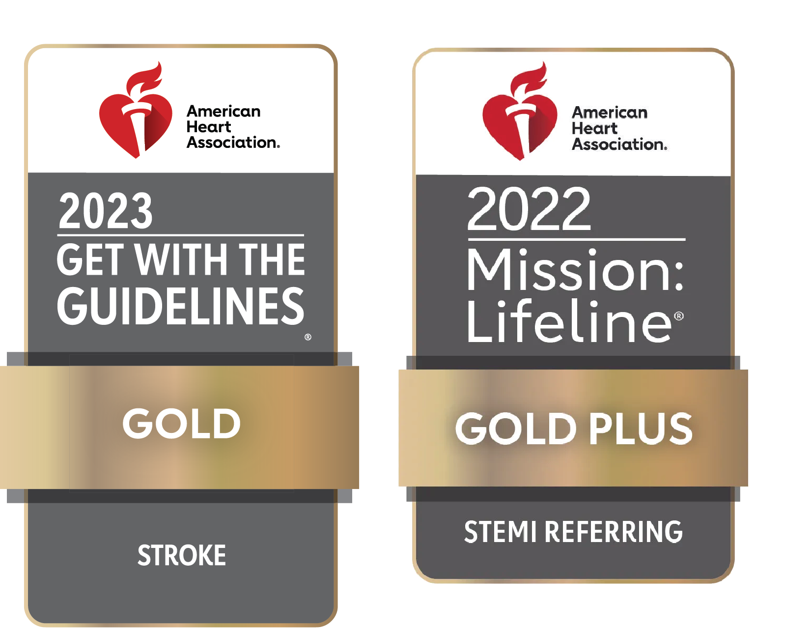 American Heart Association awards: 2023 Gold Stroke and 2022 Gold Plus STEMI Referring.