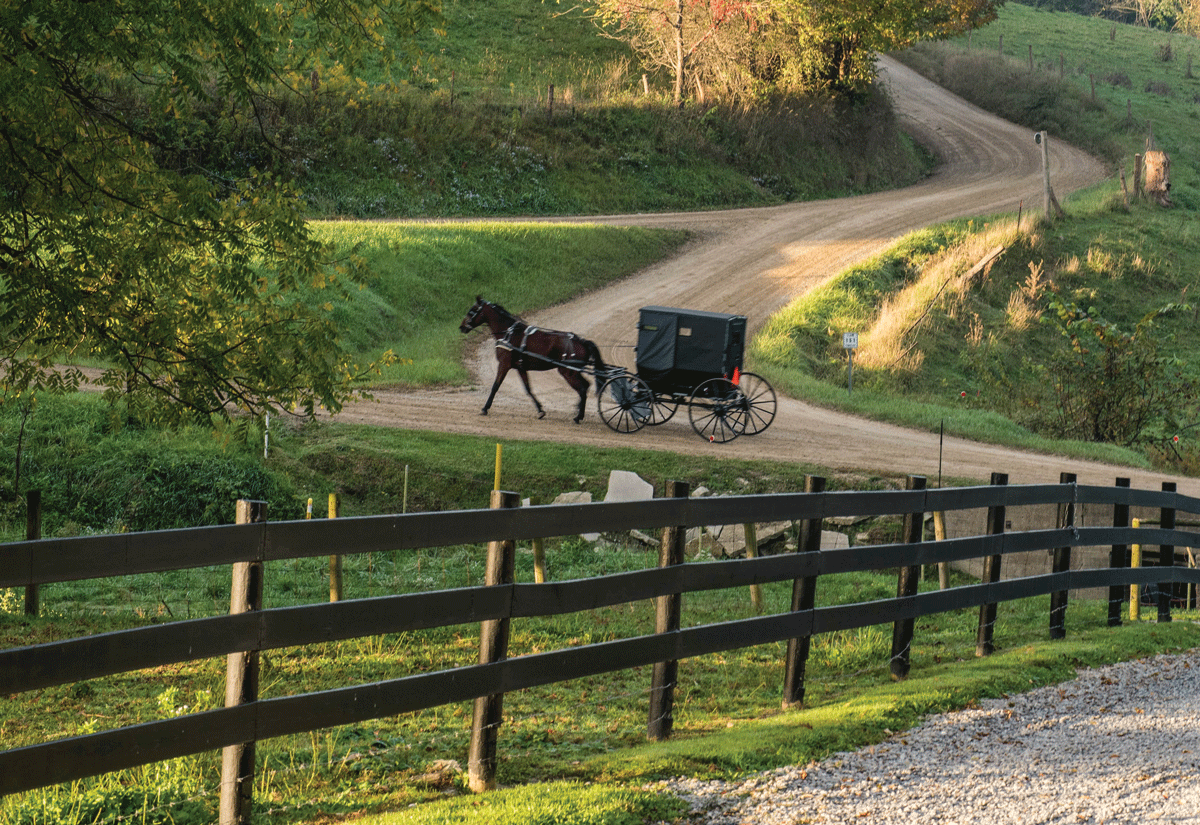 Horse-drawn carriage traveling on a dirt road winding uphill through a rural landscape with a black fence in the foreground.