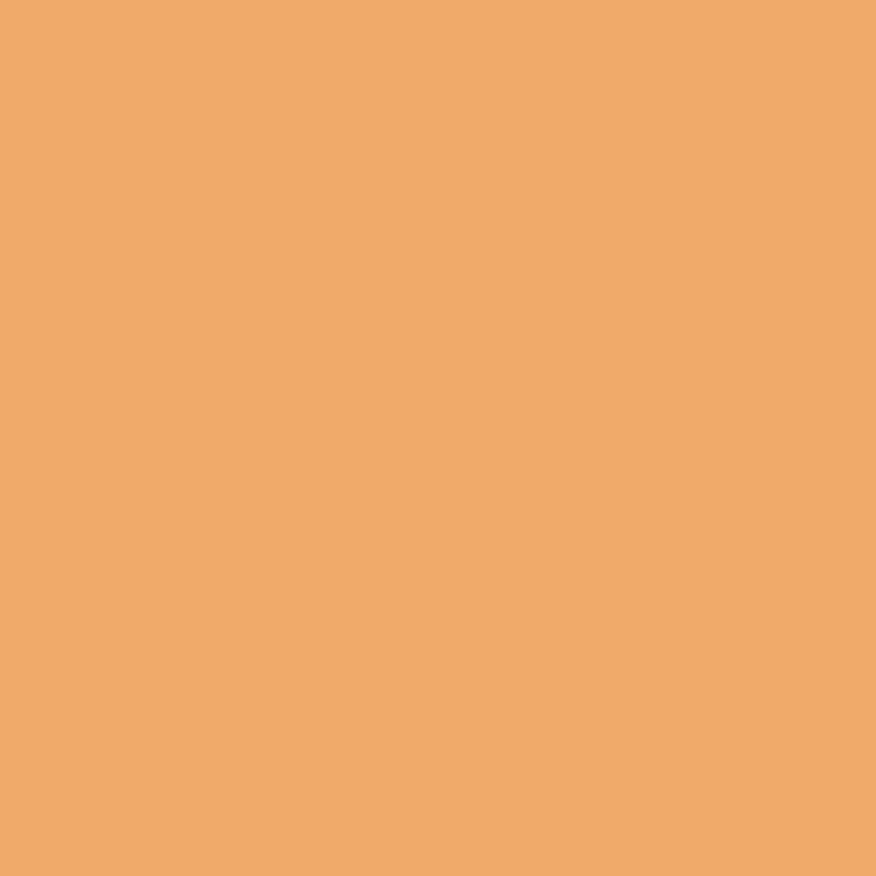 Solid background of warm orange color.