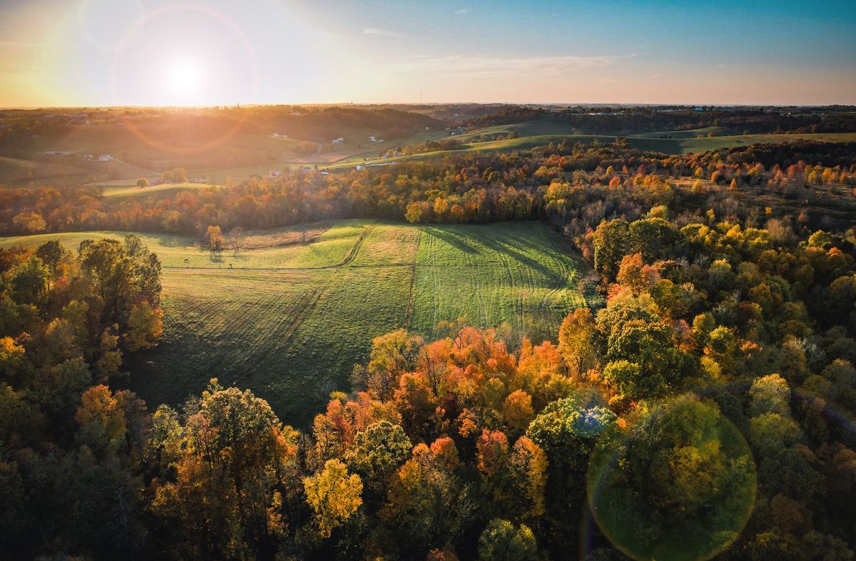 Autumn landscape with a field surrounded by trees, bathed in the warm glow of the setting sun.