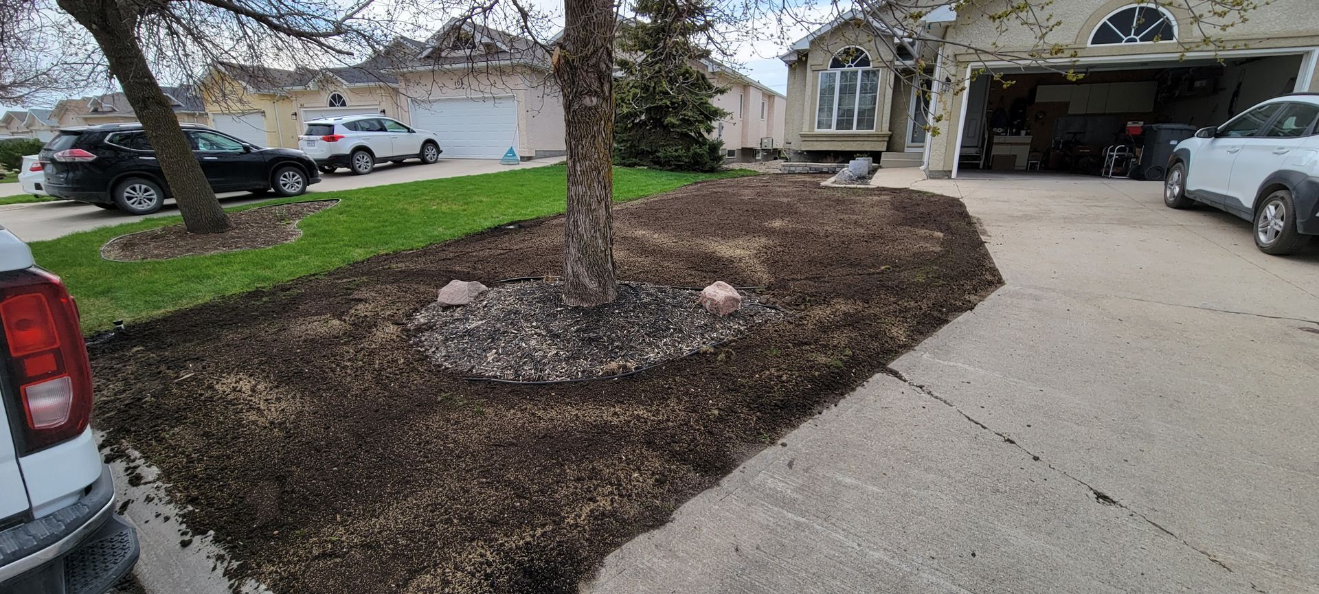 Hydroseeding vs sod - cost-effective lawn solution