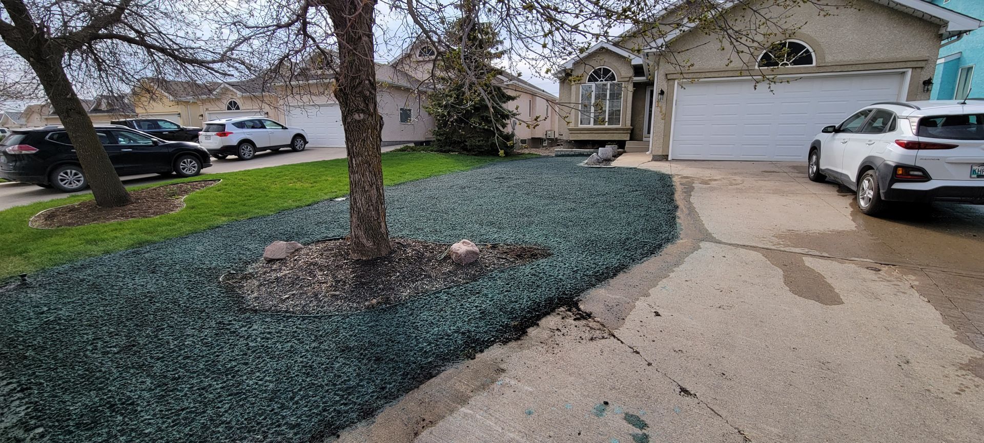 Hydroseeding vs sod - cost-effective lawn solution