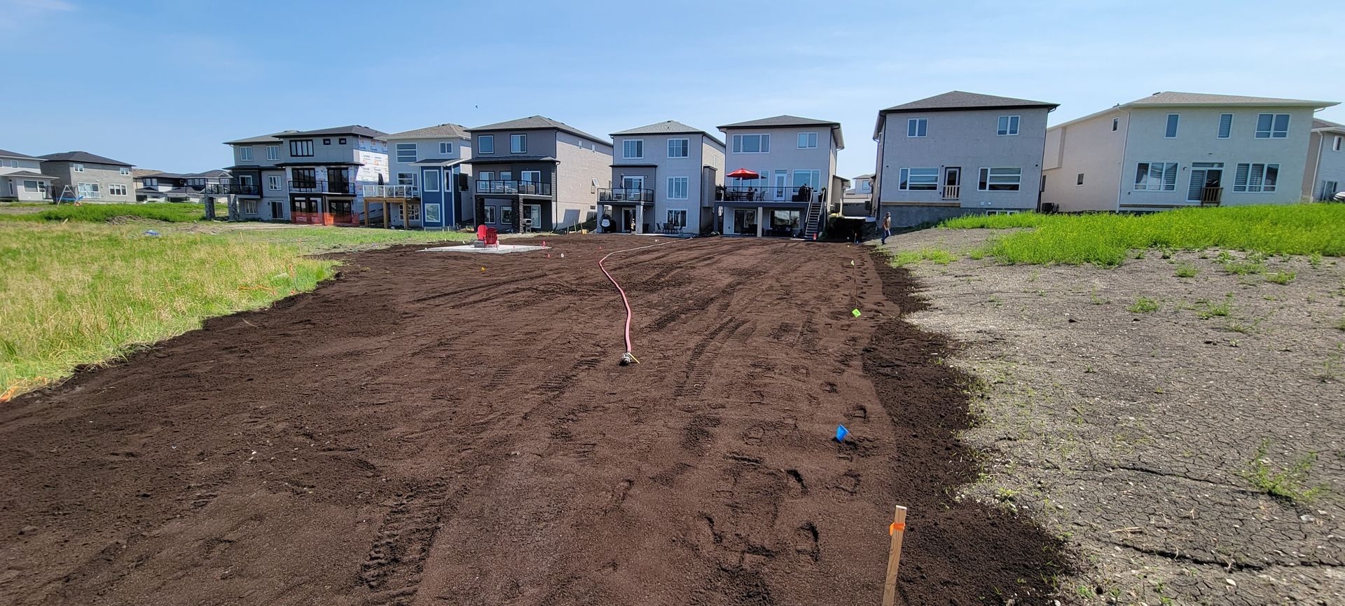 Erosion control hydroseeding project by Phoenix Organix