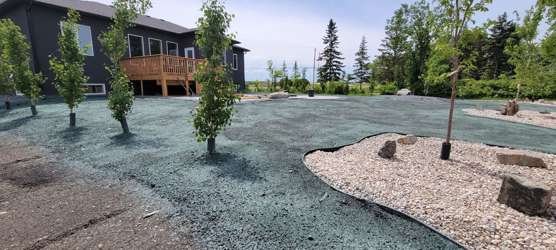 Erosion control hydroseeding project by Phoenix Organix