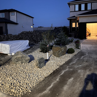 Residential landscaping with gravel, large rocks, young trees, and a house at dusk.