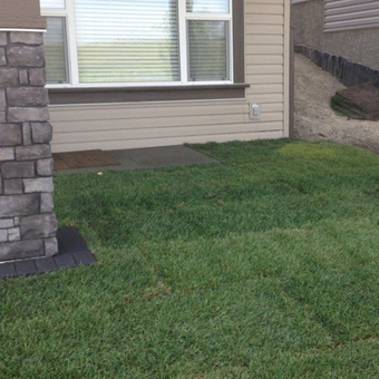 Green lawn in front of a house with stone accents and a window with blinds.