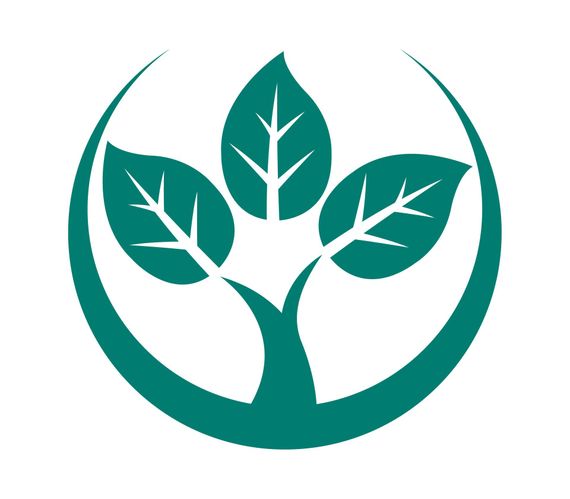 Aerial view of a modern backyard with green lawn, stone paths, patio seating, and a small pool.