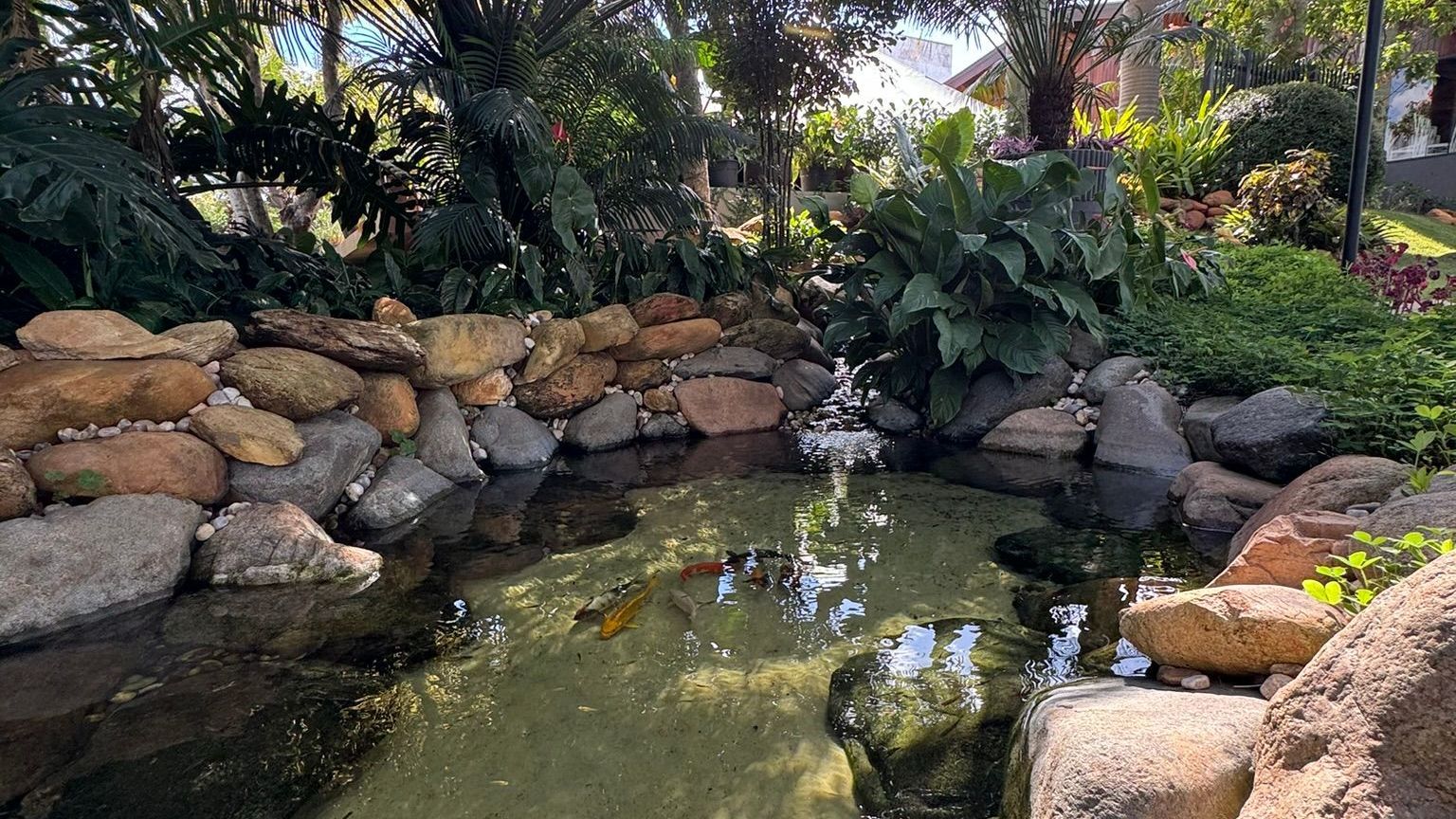 Um lago cercado por pedras e plantas em um jardim.