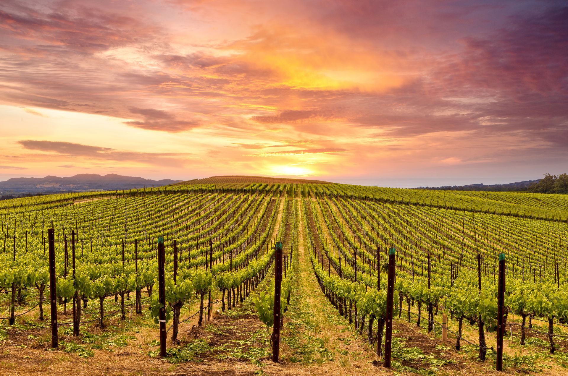 Boundary Surveying In Yolo County by Laugenour and Meikle