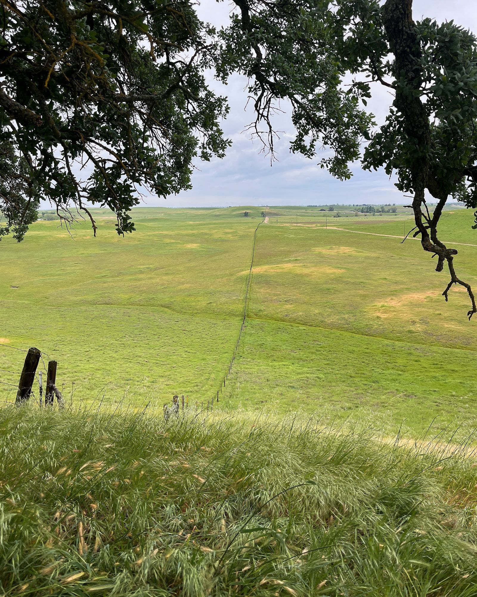 boundary surveying