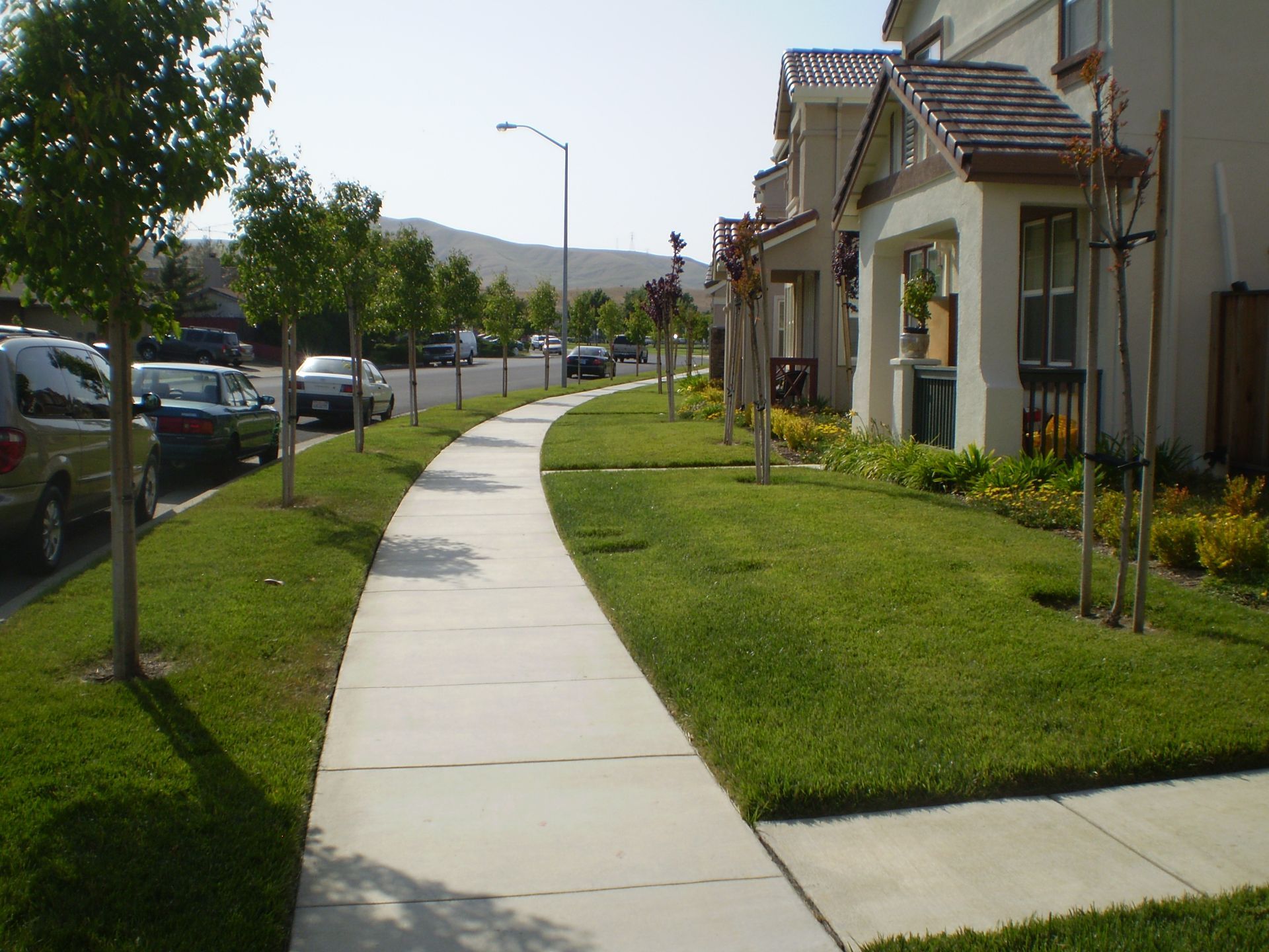 a sidewalk leading to a row of houses on a sunny day