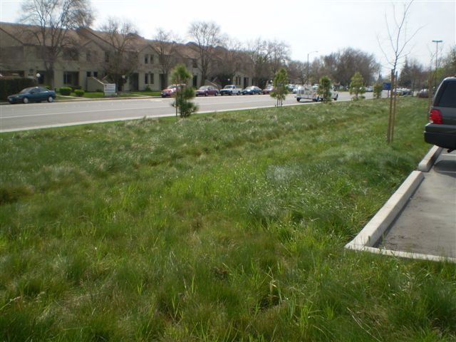 a car is parked in a grassy area next to a street