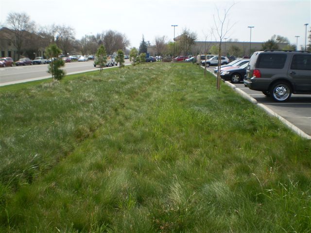 a parking lot with a lot of cars parked in it