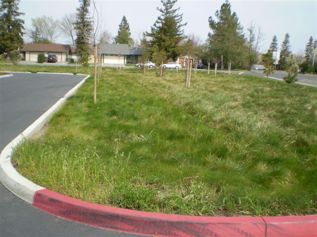 a grassy area with a red curb and a house in the background