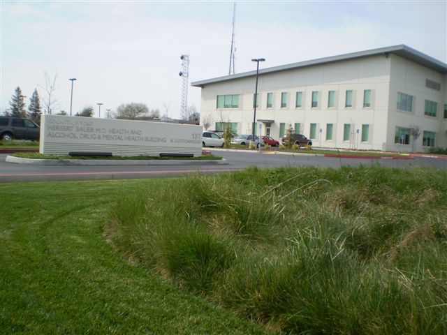 a large white building is surrounded by tall grass