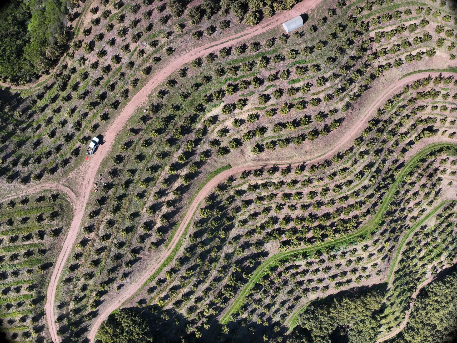 Land Surveying Services Orchards