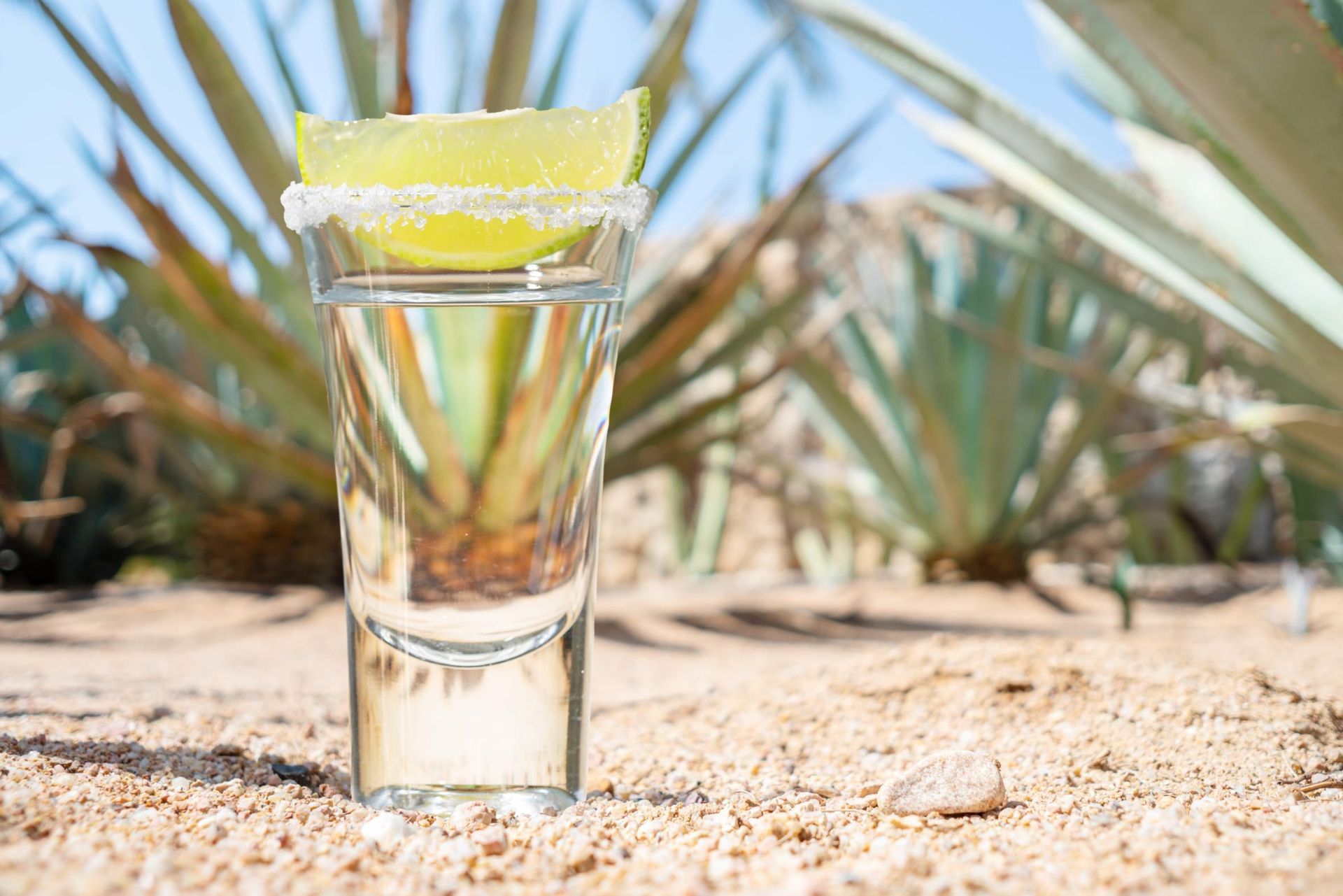 Shot glass of tequila with lime wedge, on sand, agave plants in background.