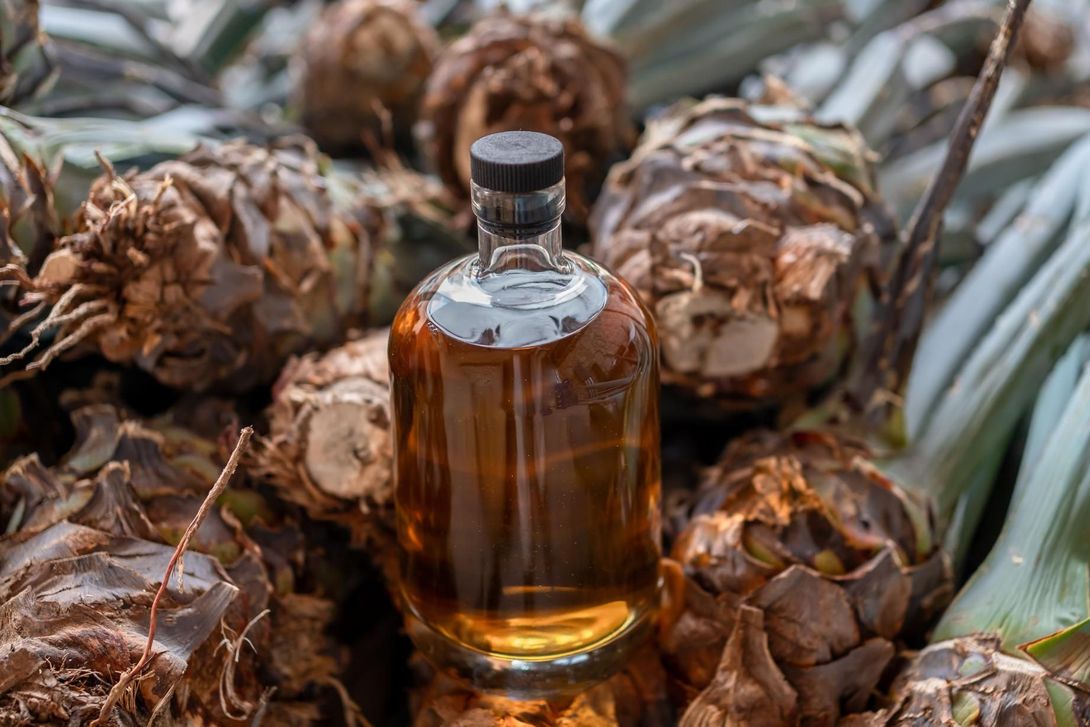 Bottle of amber liquor surrounded by agave plants.