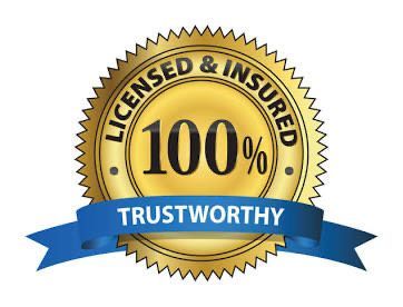 Gold seal "Licensed & Insured" with "100%" in the center and "Trustworthy" on a blue ribbon.