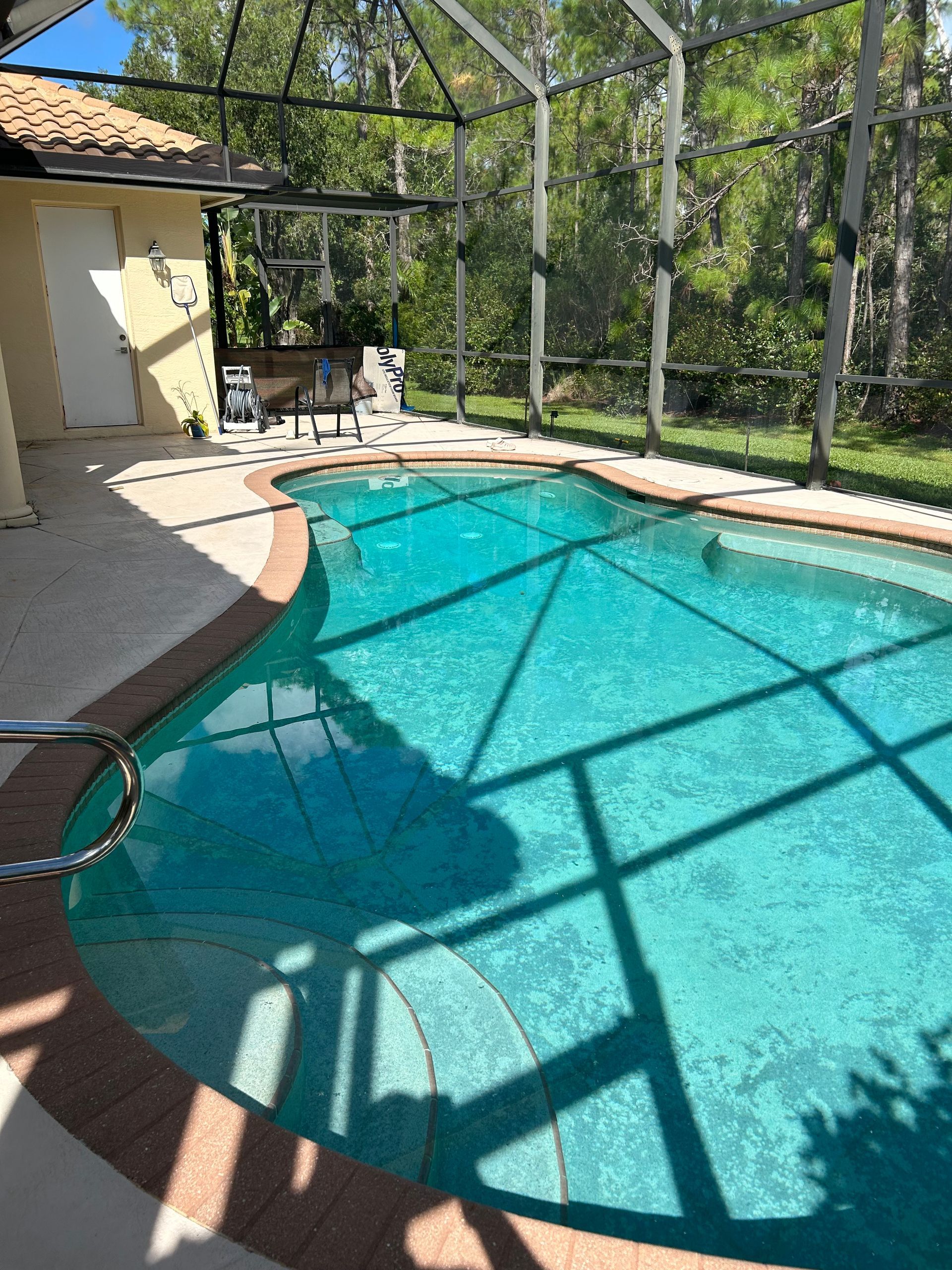 Pool with blue water and brick-colored border. Enclosed with a screened patio.