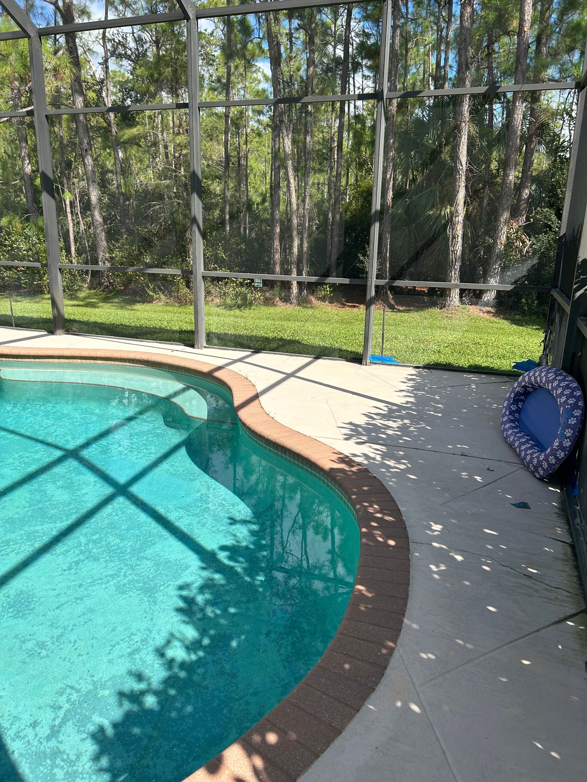 Pool with blue water, surrounded by a concrete deck and a screen enclosure, lush green trees in the background.