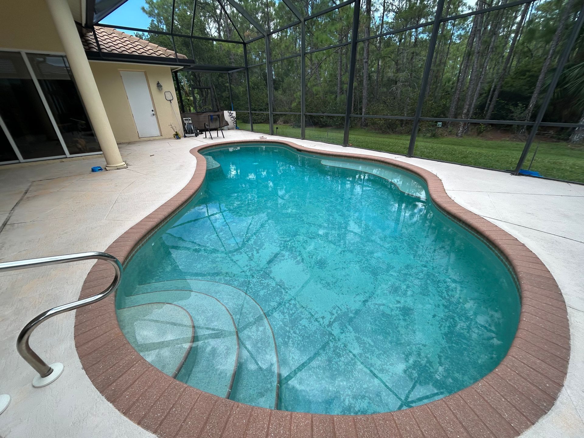 Pool with steps, surrounded by a brick border and patio. A screened enclosure surrounds the pool and backyard.