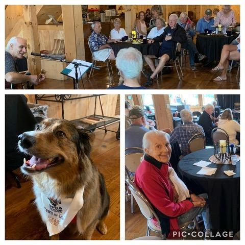 Collage: A dog with a bandanna, people at tables in a wood-paneled room, and a man playing an instrument.