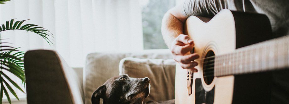 man playing acoustic guitar to his dog